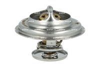 Thermostat, Kühlmittel