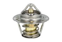 Thermostat, Kühlmittel