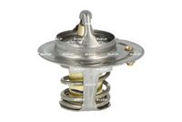 Thermostat, Kühlmittel