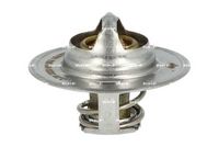 Thermostat, Kühlmittel