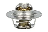 Thermostat, Kühlmittel