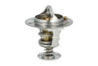Thermostat, Kühlmittel