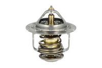 Thermostat, Kühlmittel