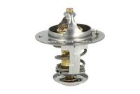 Thermostat, Kühlmittel