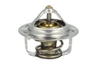 Thermostat, Kühlmittel