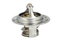 Thermostat, Kühlmittel