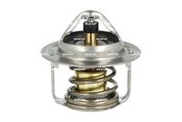 Thermostat, Kühlmittel