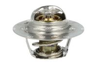 Thermostat, Kühlmittel