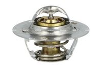 Thermostat, Kühlmittel