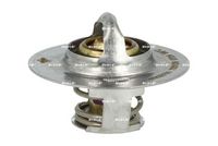 Thermostat, Kühlmittel