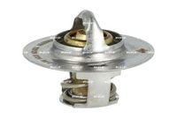 Thermostat, Kühlmittel
