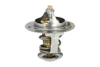 Thermostat, Kühlmittel