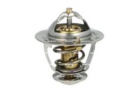 Thermostat, Kühlmittel