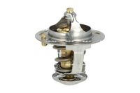 Thermostat, Kühlmittel