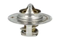 Thermostat, Kühlmittel