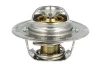 Thermostat, Kühlmittel