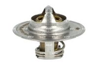 Thermostat, Kühlmittel