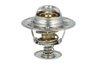 Thermostat, Kühlmittel