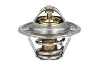 Thermostat, Kühlmittel