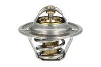 Thermostat, Kühlmittel