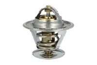 Thermostat, Kühlmittel