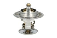 Thermostat, Kühlmittel