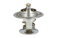 Thermostat, Kühlmittel