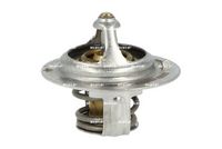 Thermostat, Kühlmittel