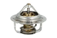 Thermostat, Kühlmittel
