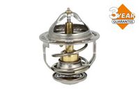 Thermostat, Kühlmittel