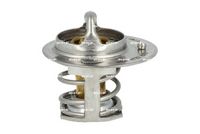 Thermostat, Kühlmittel