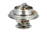 Thermostat, Kühlmittel