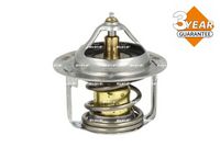 Thermostat, Kühlmittel