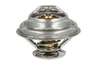 Thermostat, Kühlmittel