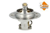 Thermostat, Kühlmittel