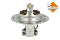 Thermostat, Kühlmittel