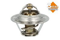 Thermostat, Kühlmittel