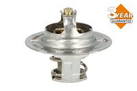 Thermostat, Kühlmittel