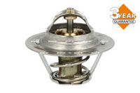 Thermostat, Kühlmittel
