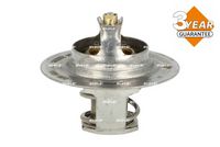 Thermostat, Kühlmittel