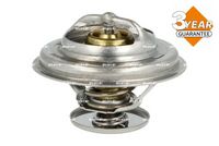 Thermostat, Kühlmittel