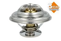 Thermostat, Kühlmittel