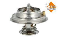 Thermostat, Kühlmittel