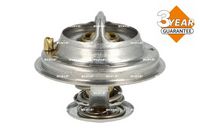 Thermostat, Kühlmittel