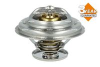 Thermostat, Kühlmittel