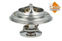 Thermostat, Kühlmittel