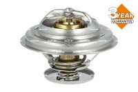 Thermostat, Kühlmittel