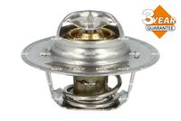 Thermostat, Kühlmittel