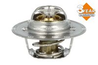 Thermostat, Kühlmittel