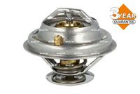 Thermostat, Kühlmittel
